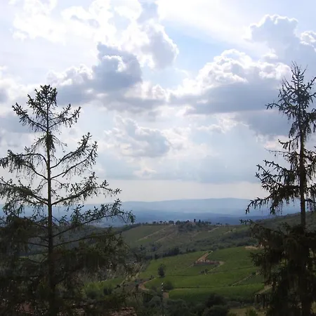 Mariani